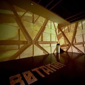 Paisaje Expandido [BotaniK]