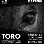 Ricardo Arispe presenta TORO: mutaciones de la tonada y apuntes del llano en la clausura de Paisaje Expandido BOTANIK